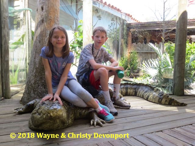 Denali and Colby ride a gator